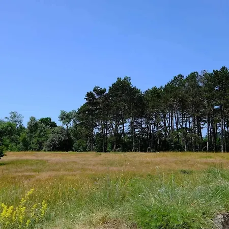 8 Person In Vaeggerlose-by Traum Дом отдыха *