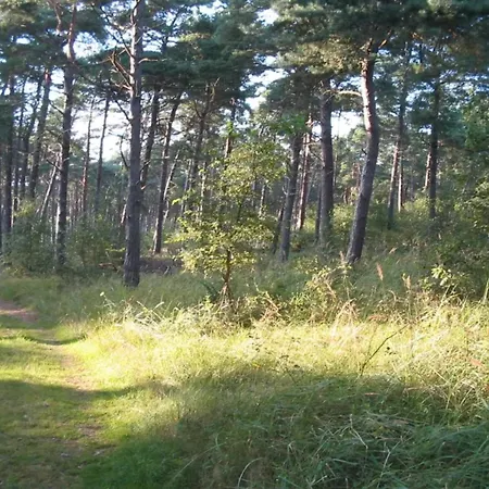 Feriehus 8 Person In Vaeggerlose-by Traum