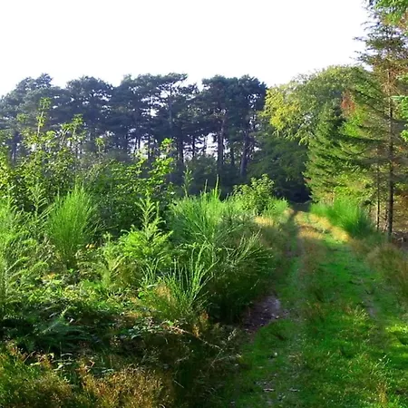8 Person In Vaeggerlose-by Traum Дом отдыха *