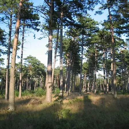 Дом отдыха 8 Person In Vaeggerlose-by Traum Boto By